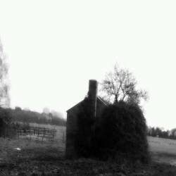 Frostbitten (UK) : Despair Led This House Into Ruin